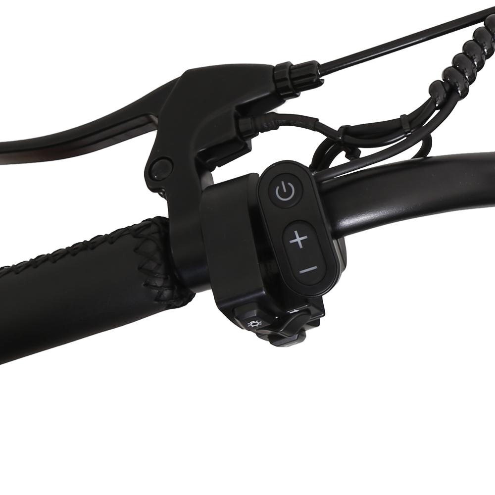 YAMALI FXH-009 20" Fat Tire Electric Bike, 48V 500W Motor, 40km Range, SHIMANO 7-Speed,  Dual Disc Brakes, LCD Display, for Urban Commute