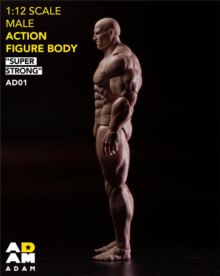 Toys & Hobbies [TOYBARJAPAN] 1/12 Scale Action Figure ADAM AD01 Manga-Style Muscle Man's Male Body