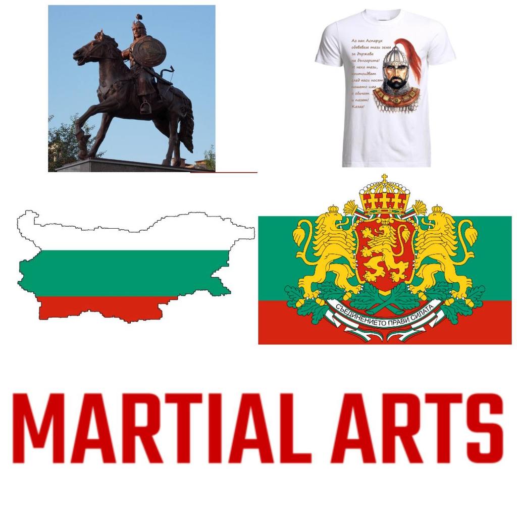 Болгария Хан Аспарух болгарский правитель ММА кикбоксинг UFC муай тай футболка с графическим ретро винтажным 3D принтом мужчины женщины унисекс короткий рукав круглый вырез