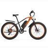 GOGOBEST GF600PLUS Взрослый внедорожный электровелосипед Аккумулятор 48В20Ач Мотор 1000Вт Электро-горный велосипед 26 дюймов Внедорожные шины Уличный электровелосипед