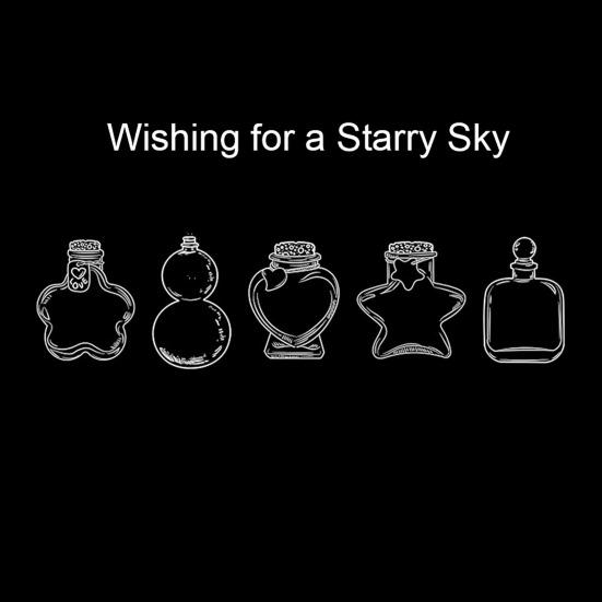 Transparent Dried Flower Bookmarks Handmade Clear Floral Bookmark Wishing Bottle Stickers Without