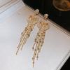 Silver needle zircon geometric fringed earrings light luxury high-end autumn and winter earrings women's new popular earrings