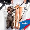 EZYDOG (Авторизованный дистрибьютор) Морской поводок для собаки, Оранжевый, 170 см