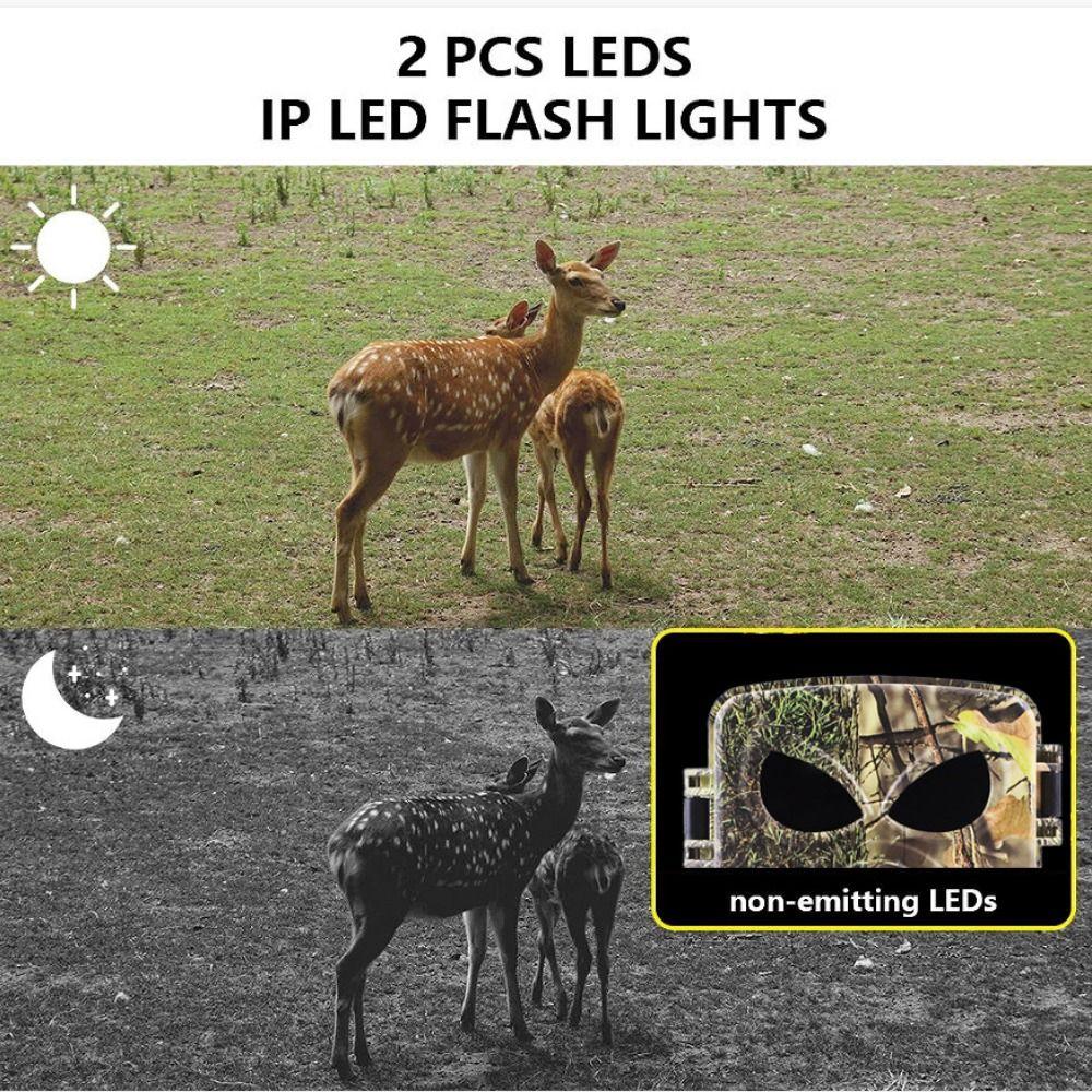 No Glow Night Vision PR8000 Wifi Camera 8K 120° Motion Wildlife Photo Pasture