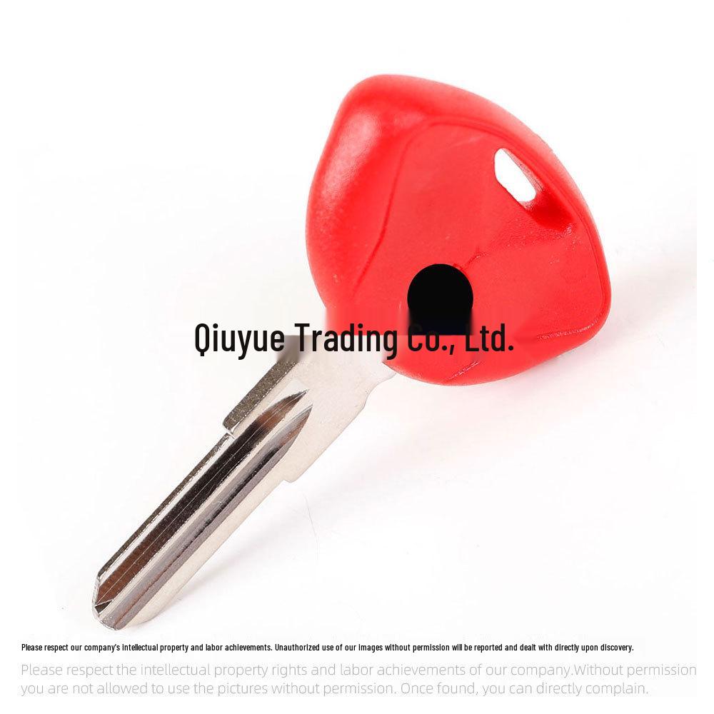 BMW Motorcycle Key Blank for C1, C600, C650GT Pedals - Chip Compatible