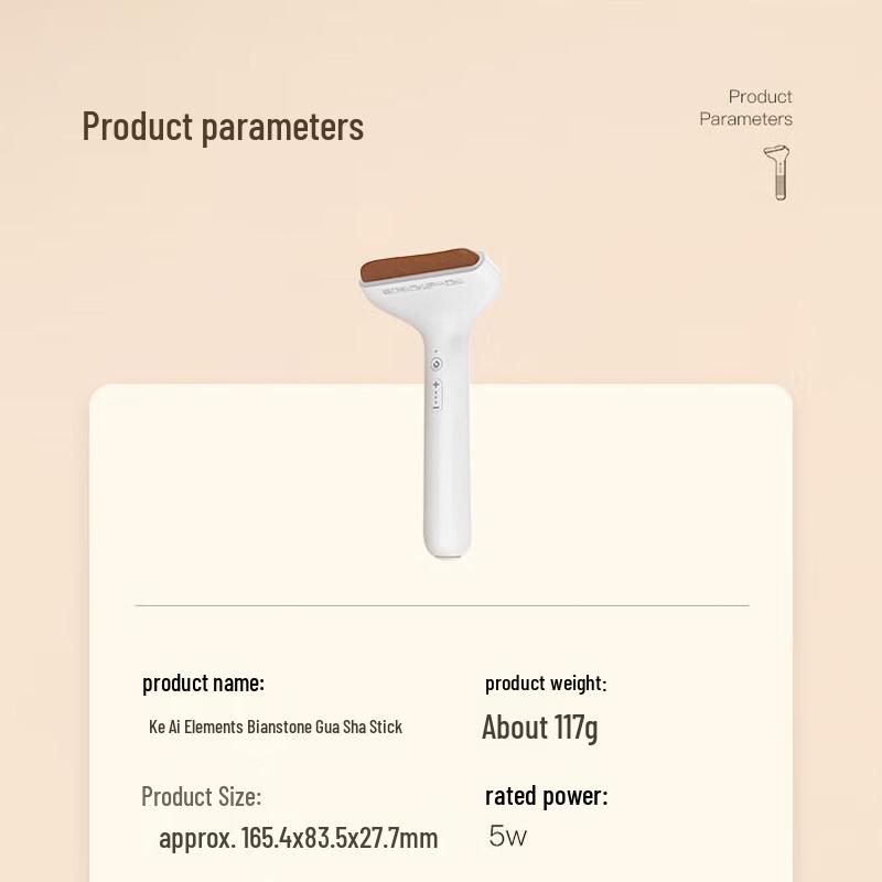 Electric Bianstone Gua Sha Massager CN plug (adapter included)