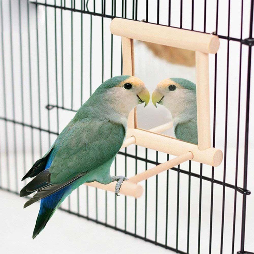 Parrot Parakeets Cockatiel Mirror Stand Bird  Supplies Parrot Standing Swing Bird Perch Mirror Toy