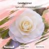 Syoss Camellia Oil Nourishing Repair Silicone-Free Shampoo