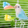 2/4Pcs Pet Bird Food Holder Parrot Fruits Vegetables Clip Bracket Cuttlefish Bone Feeder Device Clamp Bird Cage Accessories