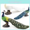 Pvc Animal Replica Peacock Figurine Decoration For Nature Enthusiasts