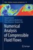 Книга Numerical Analysis of Compressible Fluid Flows : 20