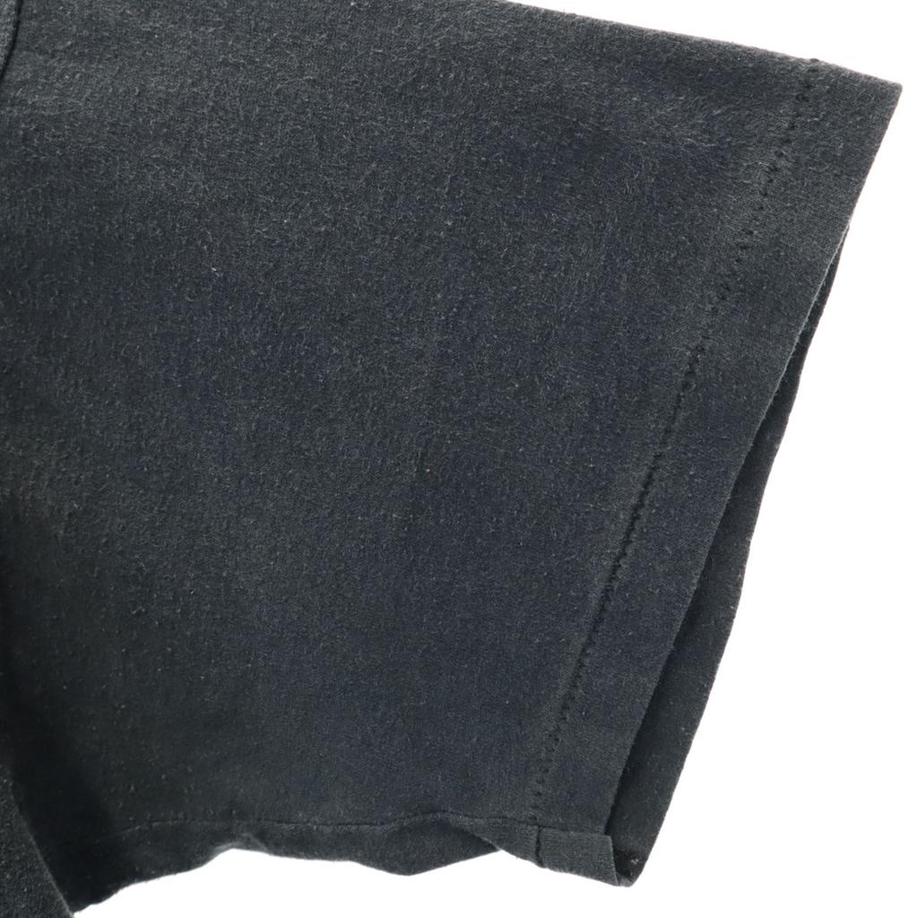 SUN SPORTSWEAR 90s Made In USA Old STRIP TEES Short Sleeve T-shirt Animal Men's Used