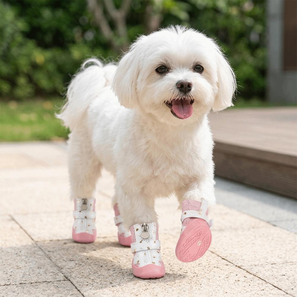 4Pcs Anti-Slip Sole Mesh Dog Shoes Golden Mesh Anti-Slip Dog Booties Indoor Activities