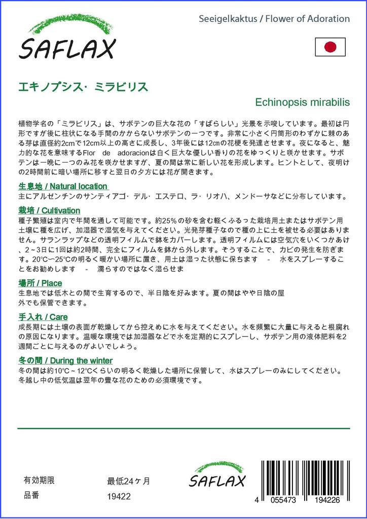 SAFLAX Garden in the Bag - Flower of Adoration - 40 семян - С субстратом в подходящем пакете - Echinopsis mirabilis