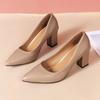 Fashion Single Shoes Women's Thick Heel Autumn New Pointed Work Shoes Shallow Mouth Pedal High Heel Simple