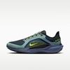 Nike Air Zoom Pegasus 41 Gore-Tex Пушечный Обсидиан Водоросли Вольт