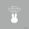 Термос для детской бутылочки 350 мл Miffy Серый JPA-350B GY
