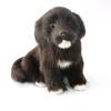 Decor Home Desktop Small Dog Photography Black Props Toy Gift