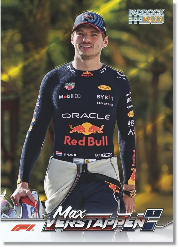 2024 Паддок-пасс Формула 1 ЦЕННОСТЬ Паддок-пасс Формула 1 ЦЕННОСТЬ