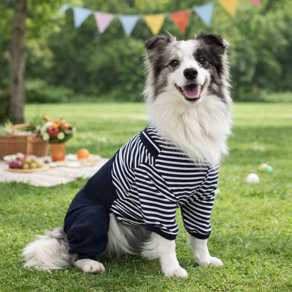 Dog Outfit Four Legged Pet Dog Jumpsuit Warm Striped Pet Sweatshirt Windproof Thickened Pullover Coat Daily Walk