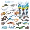 Supply Simulation Marine Fish Prehistoric Animals Deep Sea Creatures Coral Sea Turtles Canned Models Static Ornaments