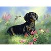 Diamond Painting Mosaic Black Dog & Bird Diamond Rhinestone Embroidery Cross Stitch Home Decor