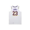 Nike Мужская баскетбольная майка NBA Lakers Limited Edition LeBron James # 23, белая AT4709-102