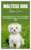 Книга Maltese Dog Basic Care : Do You Know You Can Train and Nurture Your Maltese Puppy Into an Amazing Dog