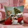 Rabbids IInvasions Anime Cushion Cover Premium Comfort Reversible Pillow Cove Two In One Design For Any Room  Car Interior