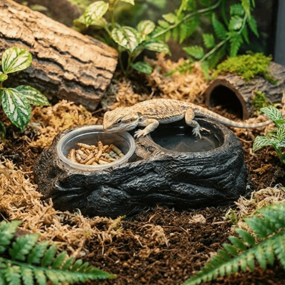 Искусственный камень Смола Камень Кормушка для рептилий Устойчивая к износу Ударопрочная Миска для корма для рептилий с мисками Широкое горлышко Полка-кормушка для домашних животных
