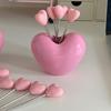 Loving Heart Love Fruit Fork Set Red Pink Plastic Fork Cute Dessert Cake Fork  Household