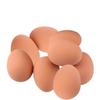 Pet Toy  Realistic   Rubber Egg Ball Fun And Cute Ideal For 60g Chewing