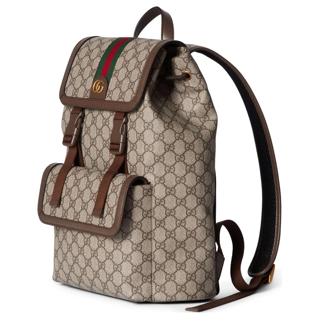 Gucci Ophidia Золотой Тон Аксессуары Двойная Буква G Логотип Холст и Кожаная Отделка Рюкзак Маленький Мужской рюкзак Коричневый 792114-FADMF-9794