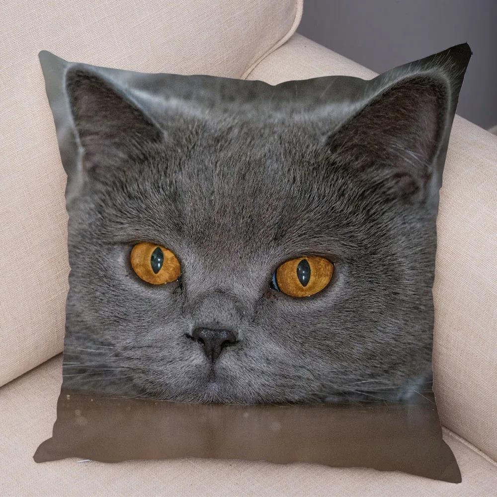 Русская голубая Британская короткошерстная Наволочка Декор Милый кот Домашнее животное Животное Наволочка Мягкий плюшевый Чехол для подушки для машины Дивана Дома
