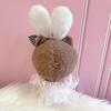 Alice-style Dress & Bunny Ear Head Dress Set for 10cm Plush Toy, Pink, Kigurumi, Accessories, Otaku, Doll, Mascot, Kpopdoll, Costume [Used]