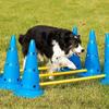 Durable Pet Training Set Portable Pets Jumping Bar Dogs Running Jumping Stakes  Hurdle Training