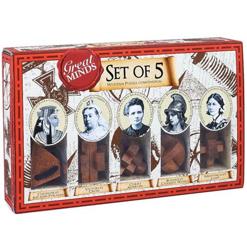 Великие умы Деревянно-металлические головоломки 5 шт. (женщины)