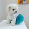 Костюм для кошек Свадебное платье Юбка для маленькой собаки Платье с кружевом-бабочкой для кошек Фотосъемка собак Формальное мероприятие Костюм для питомца