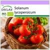 Органический - Помидор - Бернер Роза - 10 семян - Solanum lycopersicum