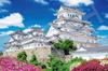 EPOCH 1000 Piece Jigsaw Puzzle Japanese Landscape Himeji Castle In the Season of Fresh Greenery Hyogo X 75 with and Score Ticket - (50 Cm) 11-618s