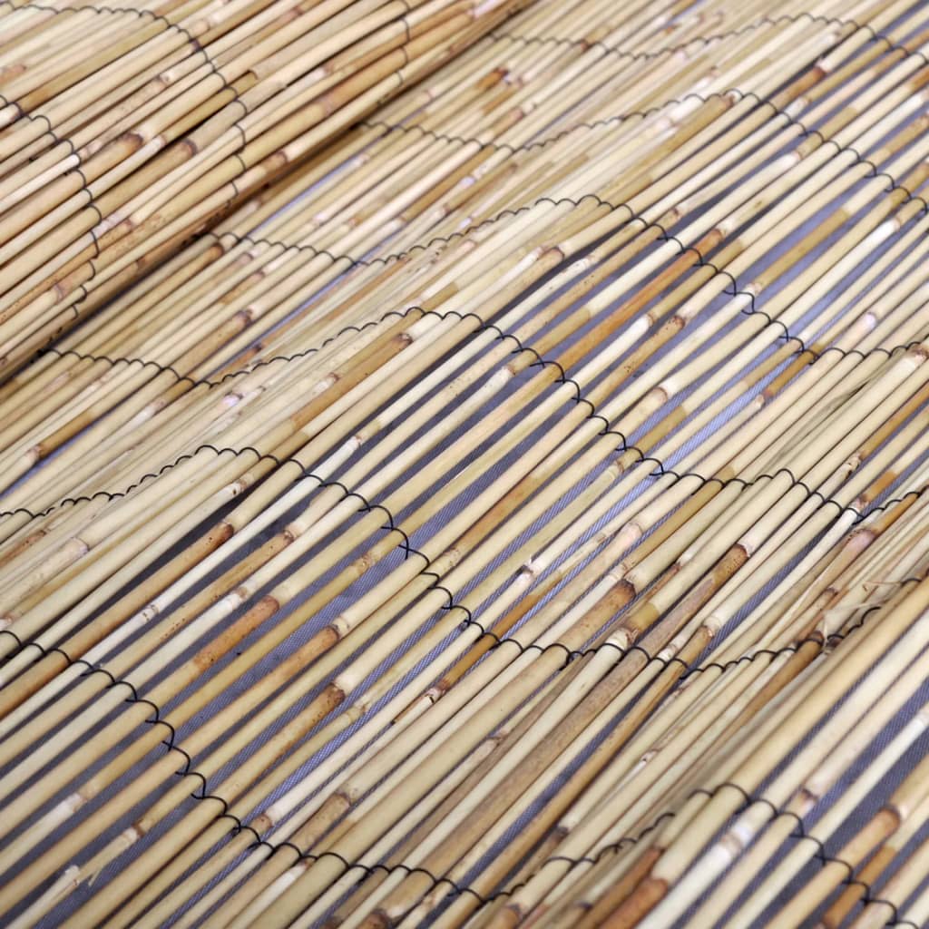Vidaxl Mata Ogrodzeniowa Z Trzciny, 300X100 Cm