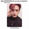 Stray Kids 6th Mini Album Oddinary Official ID Card Photocard KPOP K-POP