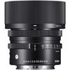 Sigma 45 мм DG DN Contemporary C019 Sony E mount Беззеркальная камера только F2.8 Полноразмерная/Большой формат