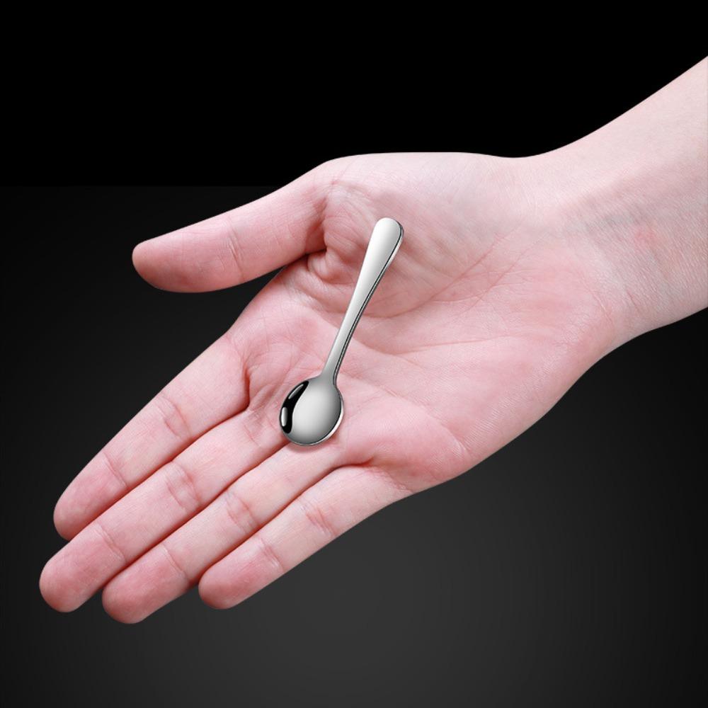 5pcs Stainless Steel Mini Spoon Ice Cream Salt Spoon Quality Flavoring Spoon Kitchen