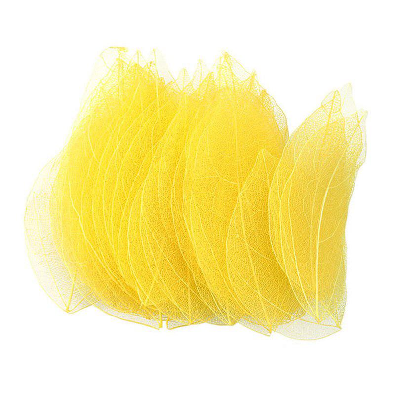 Тиснение 30 шт. Сухоцветы Чехол для телефона DIY Орнамент Аксессуары Ручная работа Материал Натуральный Алмаз Вены Изготовление Тиснение