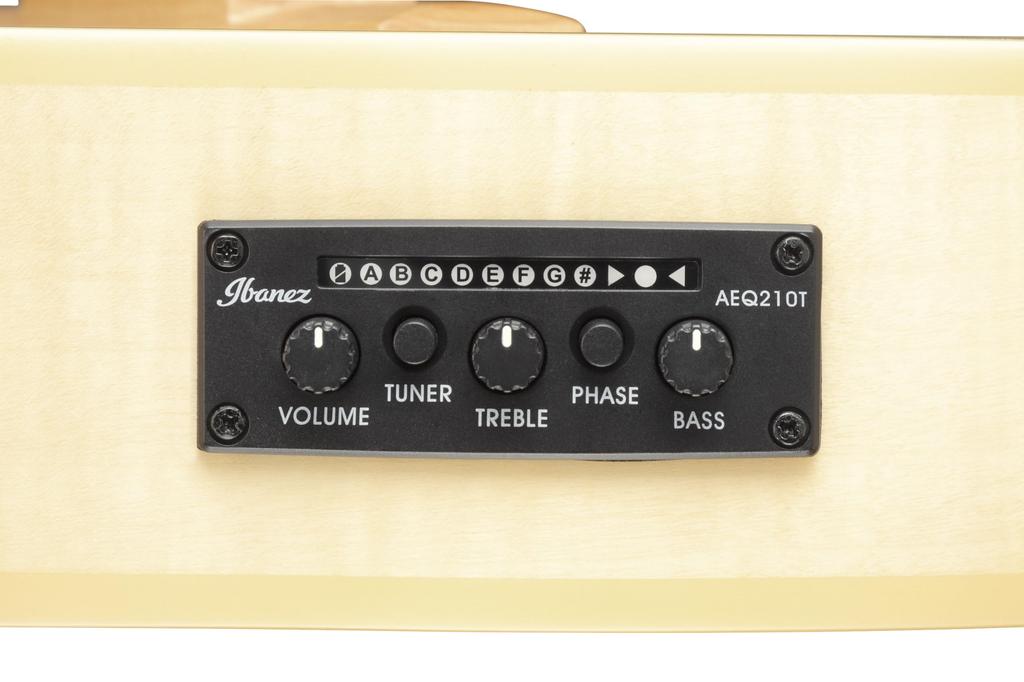 Ibanez Ibanez nylon strings / GA39TCE-NTF (Natural Flat) [elegat]