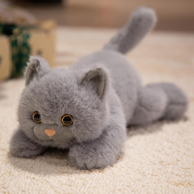 1 шт. 30 см Каваи Кошка Морской лев Плюшевые игрушки Прекрасная Мягкая Кукла Кошка Милая Игрушка Вест Хайленд Уайт Терьер Милая Подушка Животное Подарок