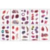 10 Sheets Waterproof Halloween Tattoo Sticker DIY Face Decorations Sticker  Halloween Party