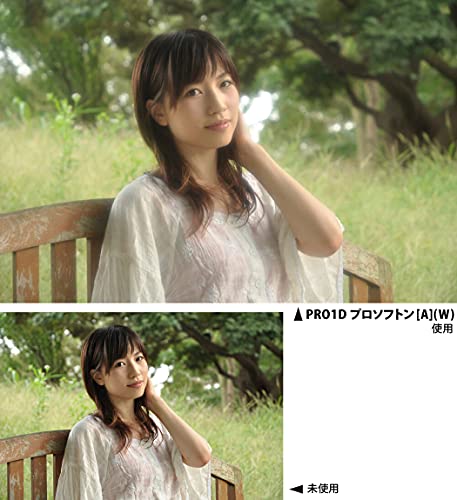 KENKO 55mm PRO1D Pro Softon Type-A Digital-Multi-Coated Camera Lens Filters