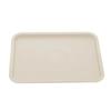 Rectangular Pallet Nordic Plastic Food Serving Tray Multiple Colors Storage Tray Household Kitchen Fruit Dessert Tray